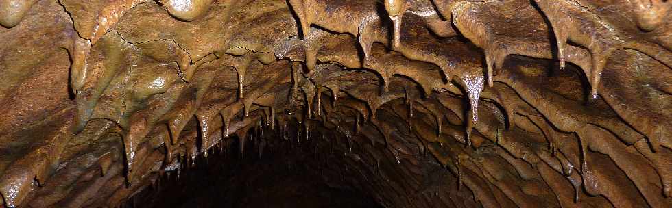 Tunnel de lave - Piton des Neiges -