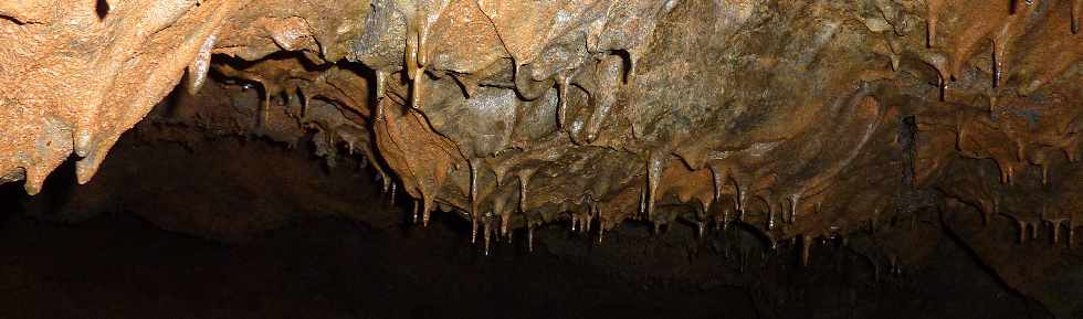 Tunnel de lave - Piton des Neiges -