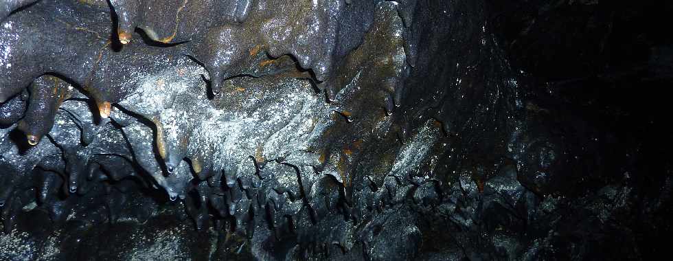 Piton de la Fournaise - Tunnel de lave