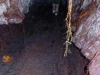 Tunnel de lave dans la coule de 1800