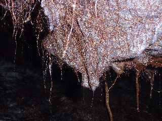 Tunnel de lave dans la coule de 1800