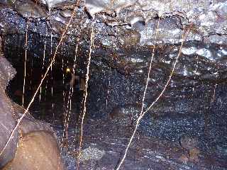 Tunnels de lave de la coule 2004 - Piton de la Fournaise