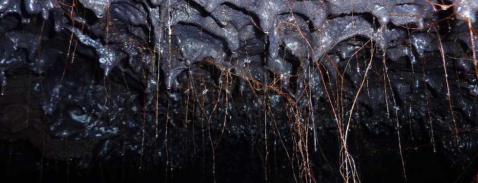 Tunnels de lave de la coule 2004 - Piton de la Fournaise