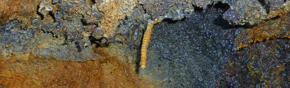 Fvrier 2016 - Tunnel de lave du massif du Piton de la Fournaise -