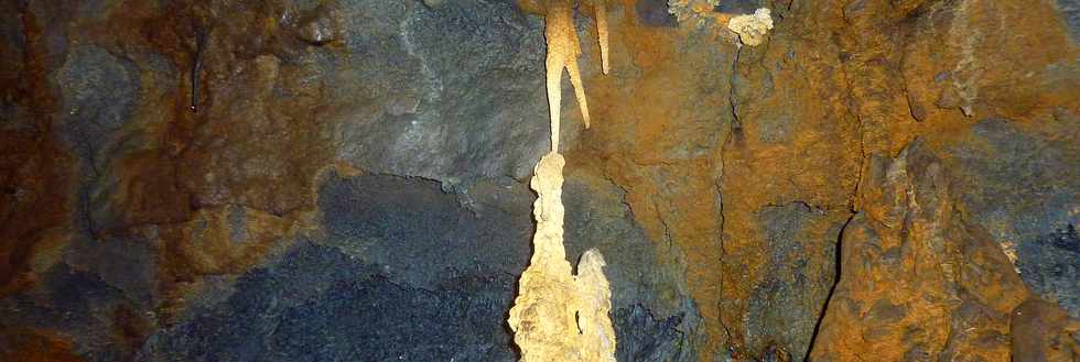 Fvrier 2016 - Tunnel de lave du massif du Piton de la Fournaise -