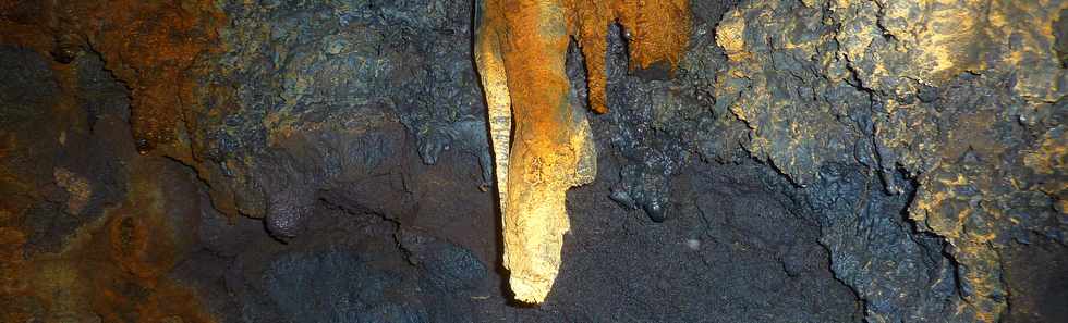 Fvrier 2016 - Tunnel de lave du massif du Piton de la Fournaise -