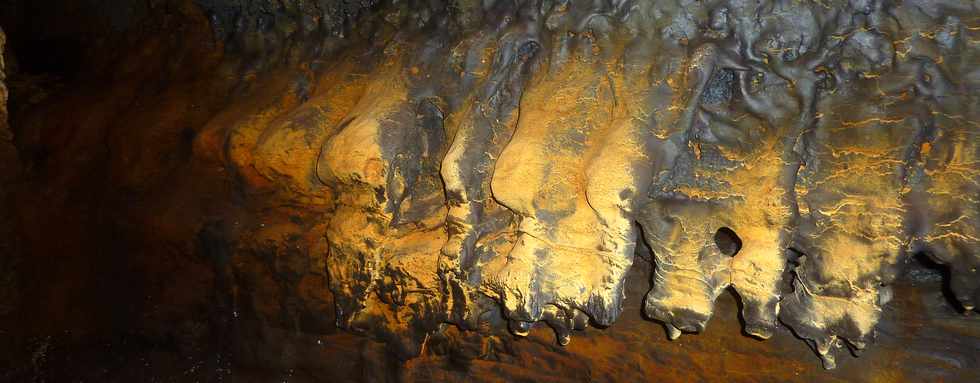 Fvrier 2016 - Tunnel de lave du massif du Piton de la Fournaise -