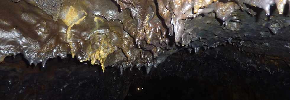 Fvrier 2016 - Tunnel de lave du massif du Piton de la Fournaise -