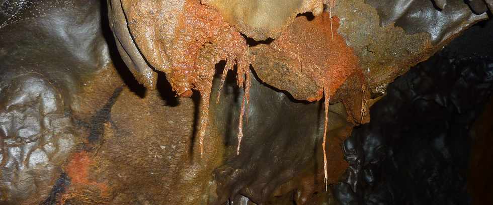 Fvrier 2016 - Tunnel de lave du massif du Piton de la Fournaise -