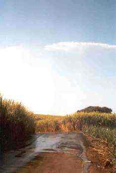 Irrigation chemin de Bassin Plat