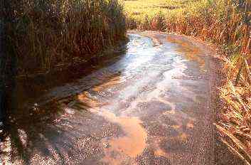 Chemin de Bassin Plat