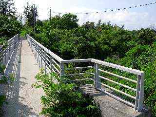 Passerelle sur la ravine des Cabris