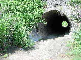 Tunnel sous la quatre-voies