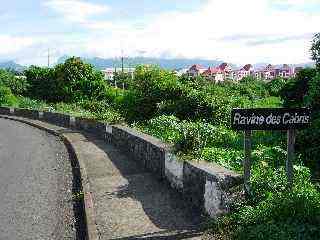 Bois d'Olive, la ravine des Cabris