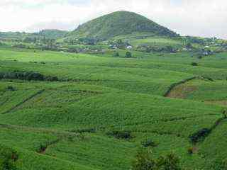 Ravine des Roches et ravine des Cafres