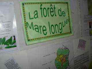 Fort de Mare Longue