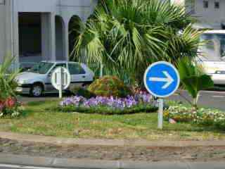 Rond-point de la tortue