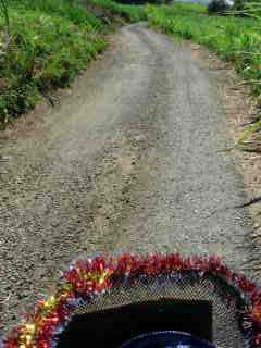 Chemins des Faisans