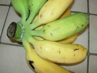 Bananes