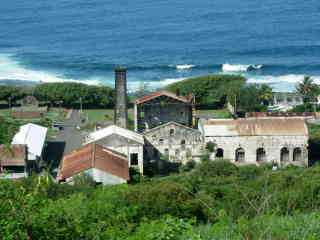 Usine sucrire de Grands-Bois (ruines)