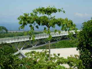 Pont de l'Entre-Deux (Bras de la Plaine)