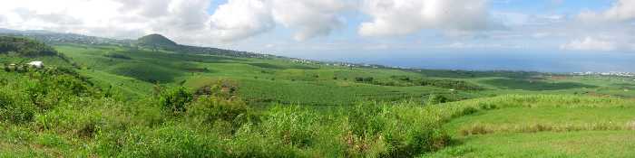 Du haut du Piton de Bassin Martin