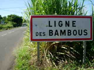 Panneau Ligne des Bambous