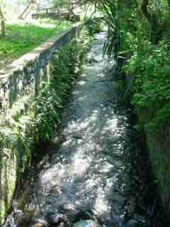 Canal St-Etienne