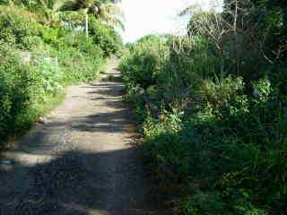 Chemin Canal Sabrap