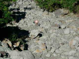 Ravine Blanche