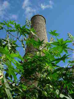 Chemine d'ancienne usine