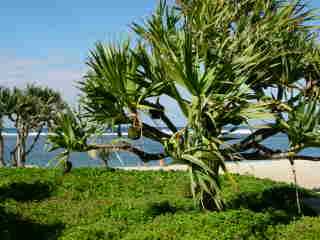 Jardins de la plage