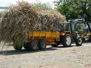 Tracteur