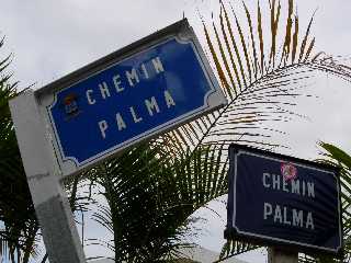 Chemin Palma