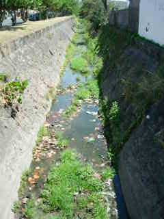 Canal Sorema