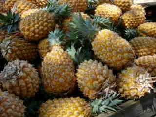 Ananas