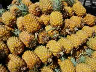 Ananas