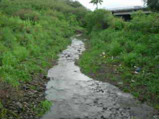 Ravine des Cabris