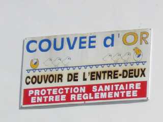 Couve d'Or