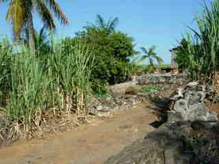 Ravine de l'Anse