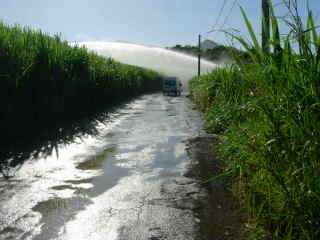 Chemin de Bassin Plat