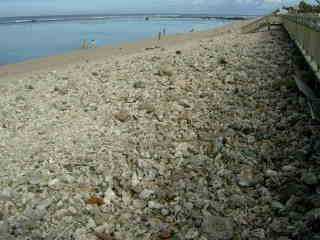 Plage de St-Pierre aprs la houle de mai 2007