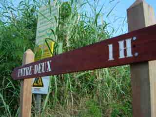 Sentier du Bras de la Plaine