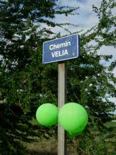 Chemin Vlia