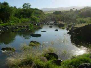 Rivire d'Abord  Bassin Plat