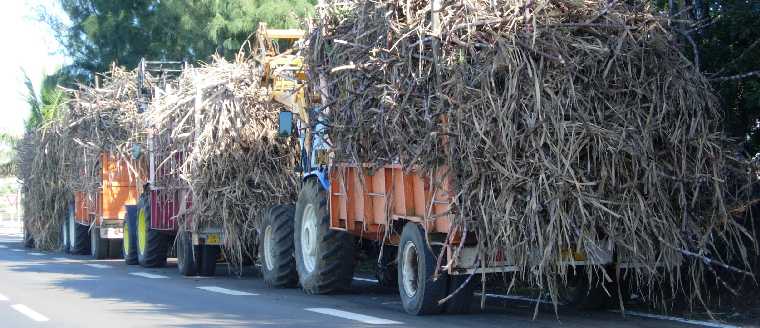 File des tracteurs