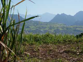 Piton des Neiges