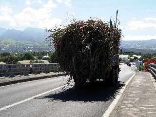 Camion de cannes