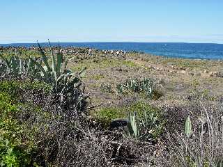 Sentier littoral