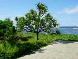 Plage de St-Pierre